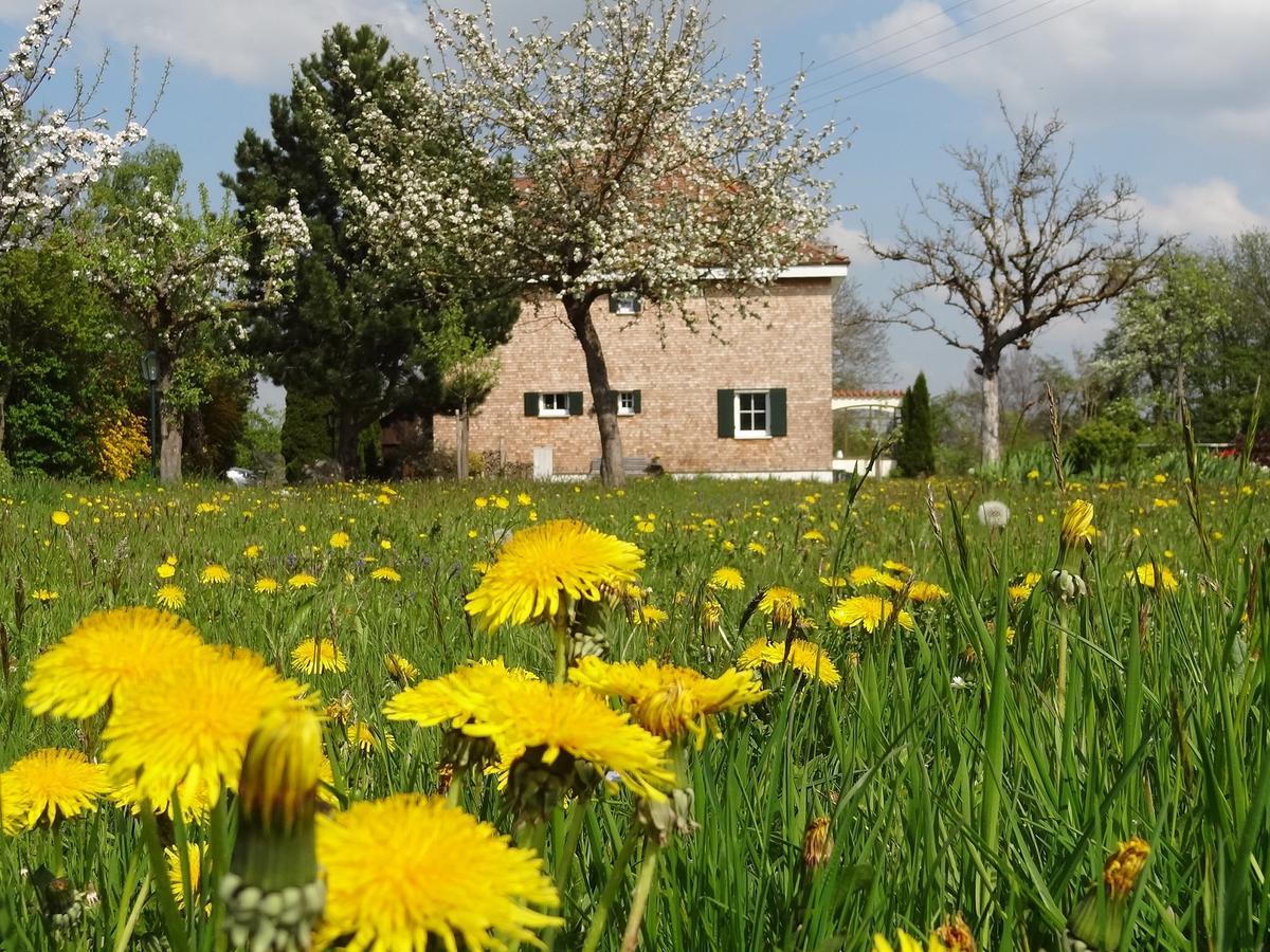 Landhaus Loewenzahn Unteregg 外观 照片