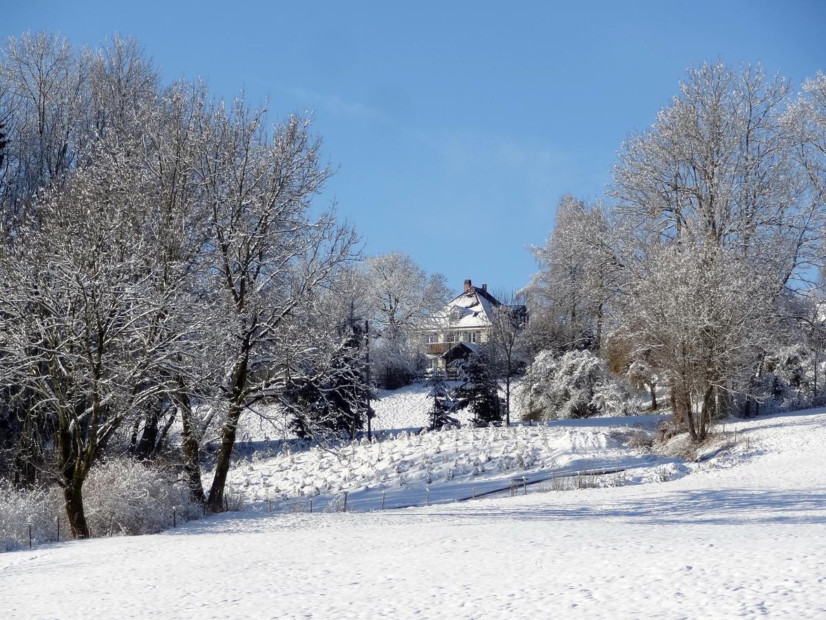 Landhaus Loewenzahn Unteregg 外观 照片